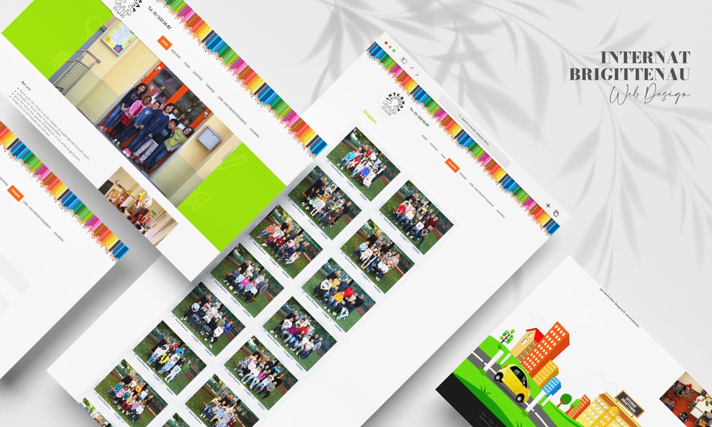 Internat Brigittenau Web Design