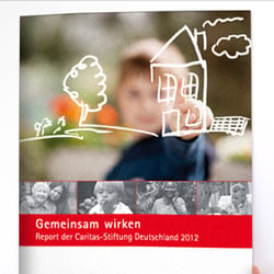 CSD Bericht 1