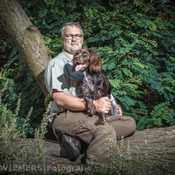 Wachtelhund Portrait