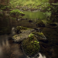 Schwarzwald
