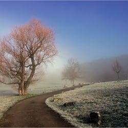 Winter am Goetzenberg 4258k