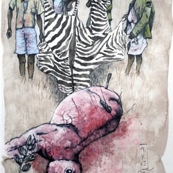 Safari