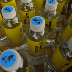 Die WORLDWATER-Flaschen mit Münchner Leitungswasser