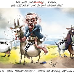 20201028 Errdogan-Ziegen Stefan Fichtel