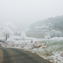Winterwonderland