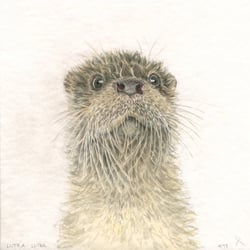 Otter