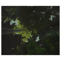 Virtual Forest | VR experience2