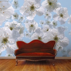 Kirschblüten – Bildmontage