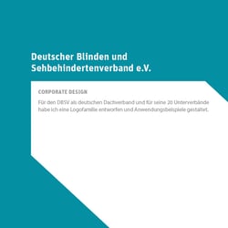 Deutscher Blinden- und Sehbehindertenverband (DBSV)