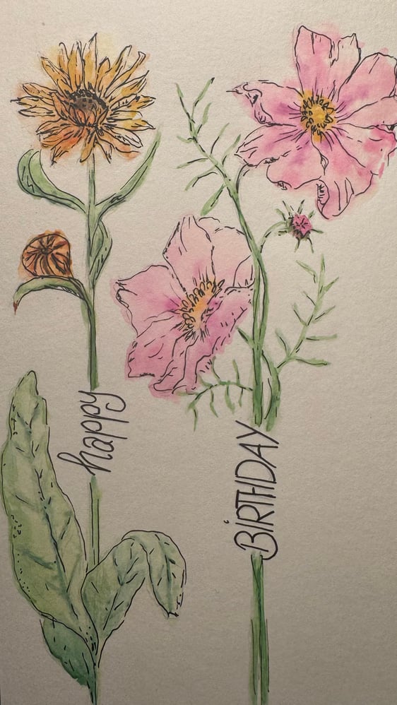 Eine Illustration der Oktober-Geburtsblumen Calendula und Cosmea.