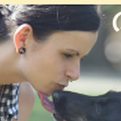 Buddys Hundebetreuung