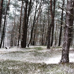 Heide II