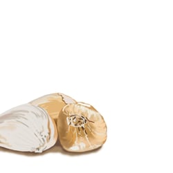 Knoblauch für ein im Rahmen des Studiums erstelltes Kochbuch