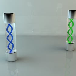 Virus