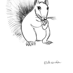Illustration