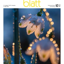 Macro, Märzbecher, Licht