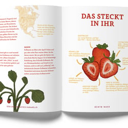 wichtige Info‘s zur Erdbeere