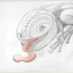 Photo49