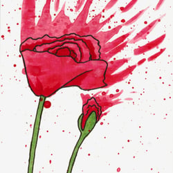 Poppy