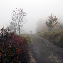 Radfahrer im Morgennebel