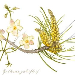 Jahreshoroskop-3