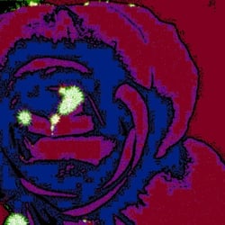 abstrakte Blüte