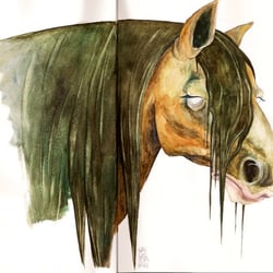 Horse Watercolour 72dpi
