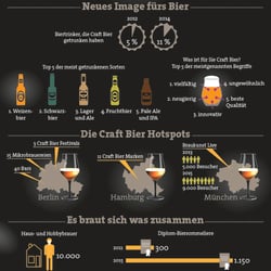 Infografik für Craft Beer