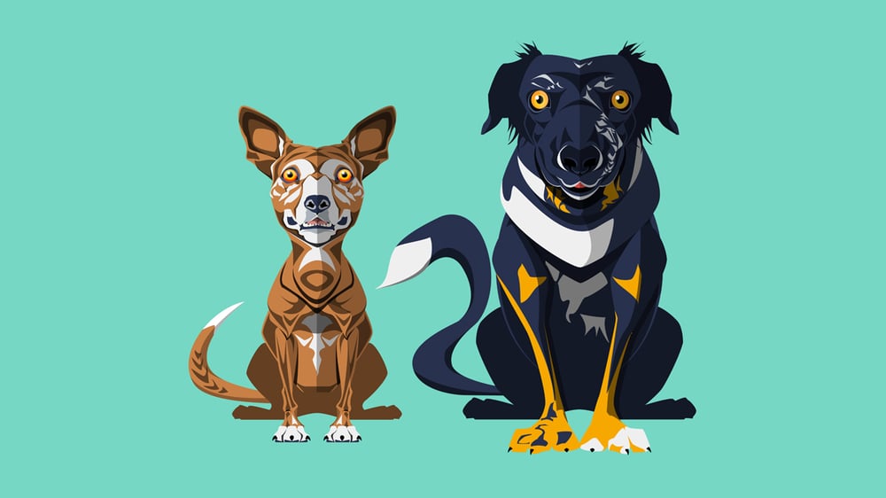 Doggiesflat