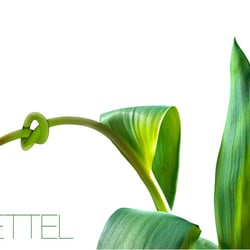 Denkzettel