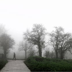 Morgennebel…