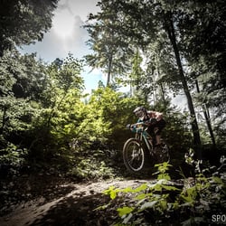 BikeparkRace