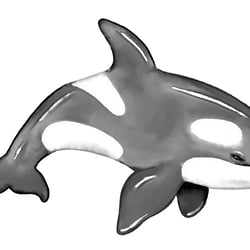 orka