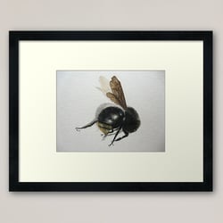 gerahmter Kunstdruck mit Hummel