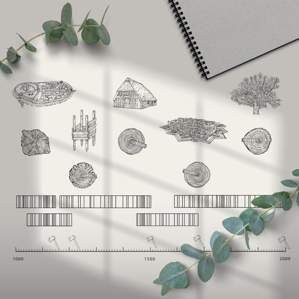 Grafik zur Funktion der Dendrochronologie für Museumsdorf Düppel Berlin