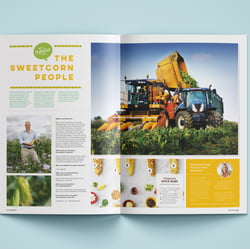 Auftraggeber: HelloFresh