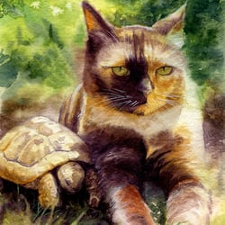 Katze und Schildkröte – Aquarell