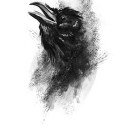 3 eyed Raven – Illustration für Games of Thrones Artikel