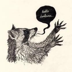 Waschbär