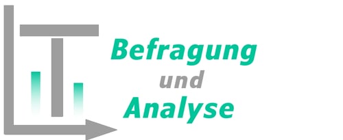 LT Befragung und Analyse