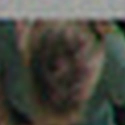 Fotos und Layout