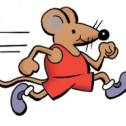 Maus rennt