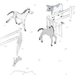 Illustration innen