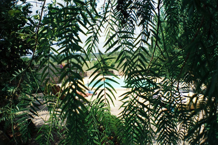 Welcome to Ibiza, Vol. 1, Lomography, #3