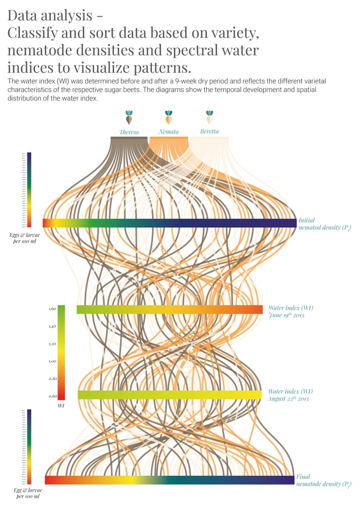 Analyse spektraler Daten aus Feldversuch im System Zuckerrüben-Nematoden-Trockenstress