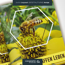 Kommunikationsdesign Grafik Design Werbung Gestaltung Illustration Malerei Layout Satz Projektmanagement @carographic