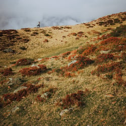 Trailrun zur Kaltenberghütte