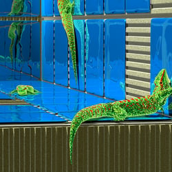 Gecko als Symbol von chemischen Eigenschaften