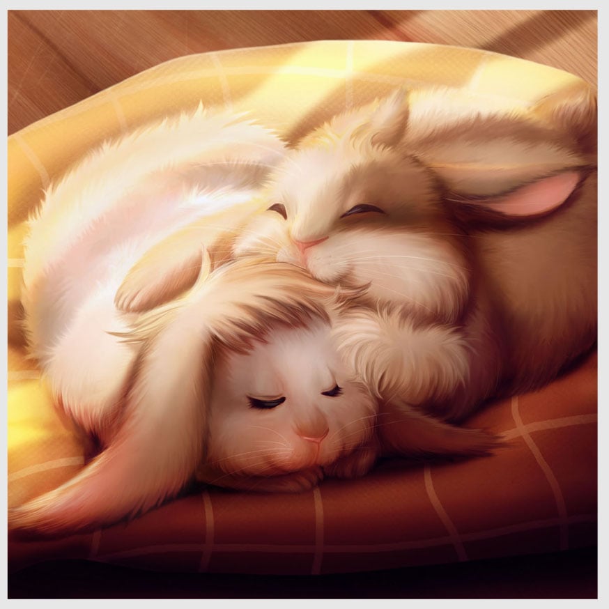 Sunny bunnies