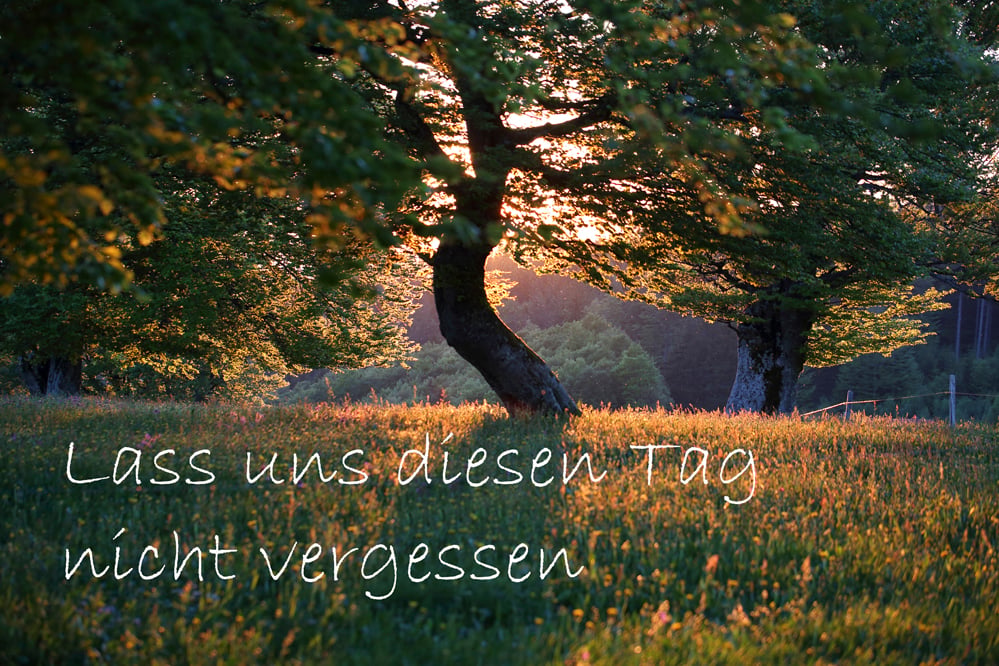 viele Bilder mit Slogans